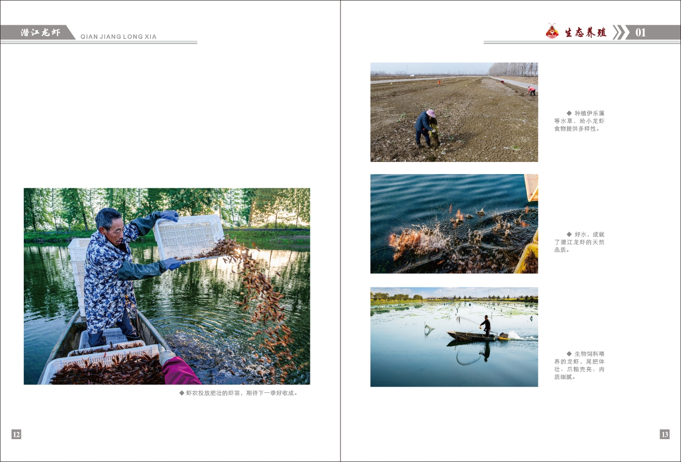 對(duì)稿圖0427_頁面_10