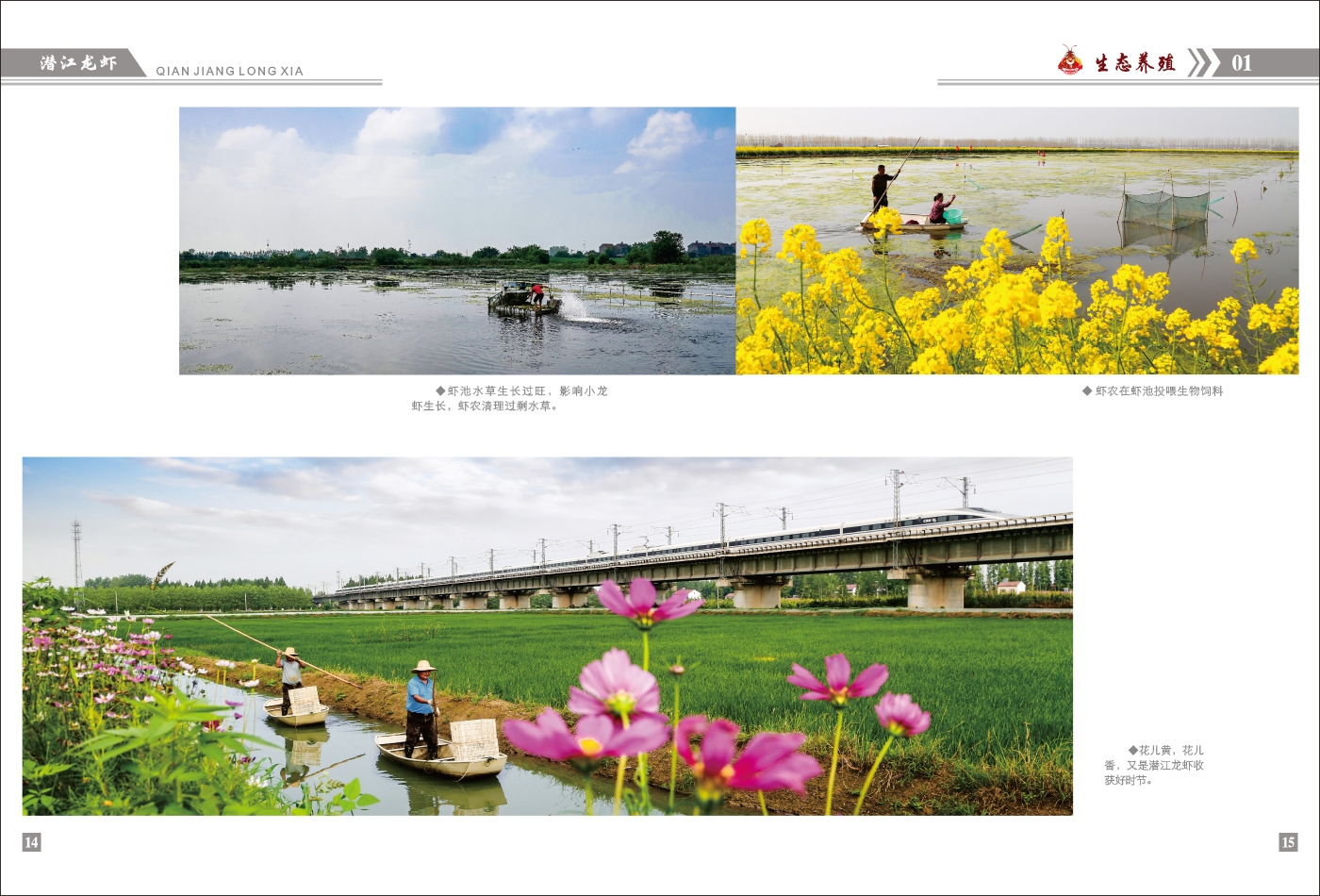 對(duì)稿圖0427_頁面_11