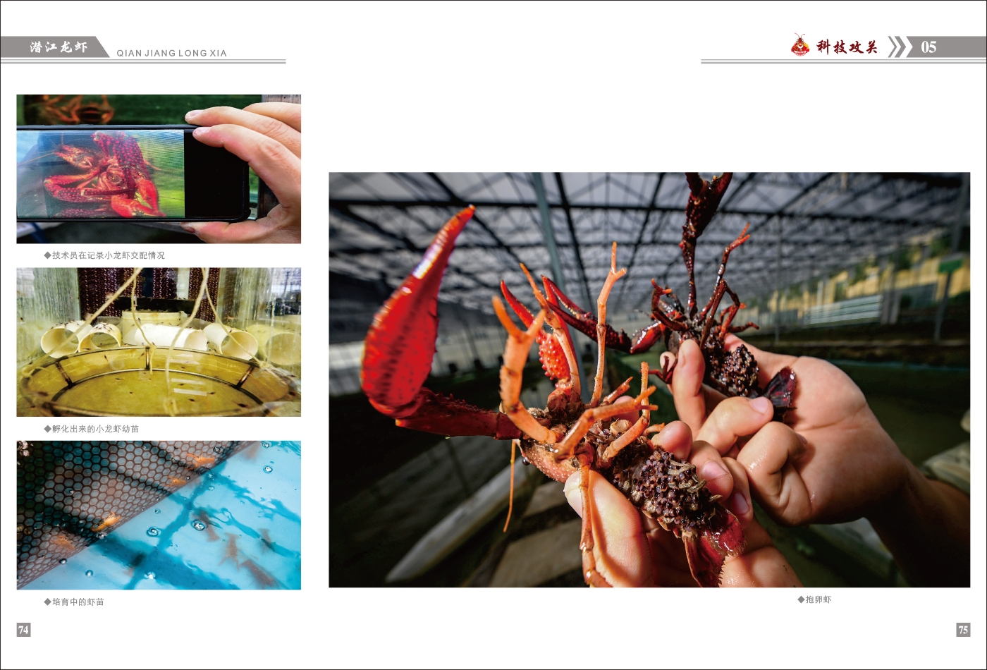 對(duì)稿圖0427_頁面_41