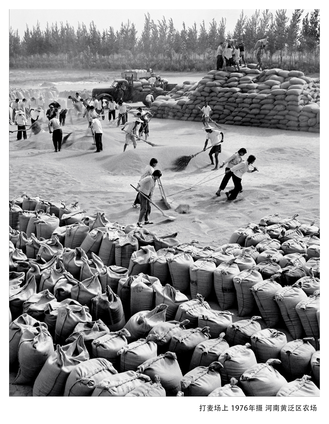 005《打麥場(chǎng)上》1977年入選全國(guó)攝影藝術(shù)展覽