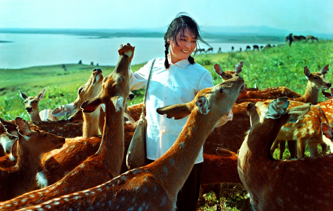 007《精心飼養(yǎng)》獲得全國(guó)攝影比賽銅獎(jiǎng)