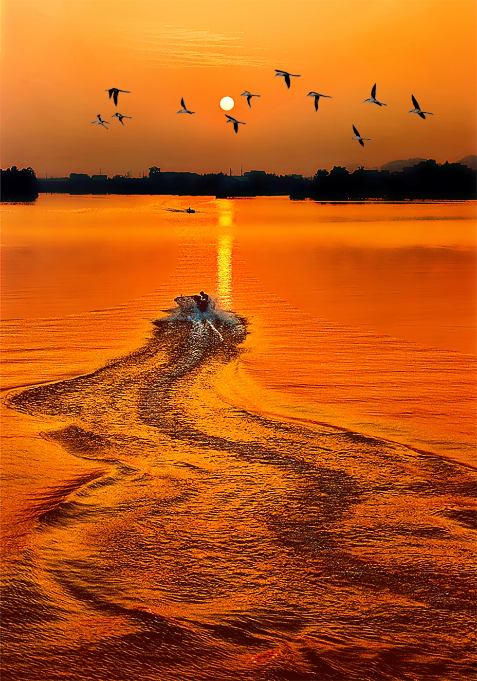 010《追日》2024年在新加坡四地國(guó)際攝影巡回展中榮獲金牌