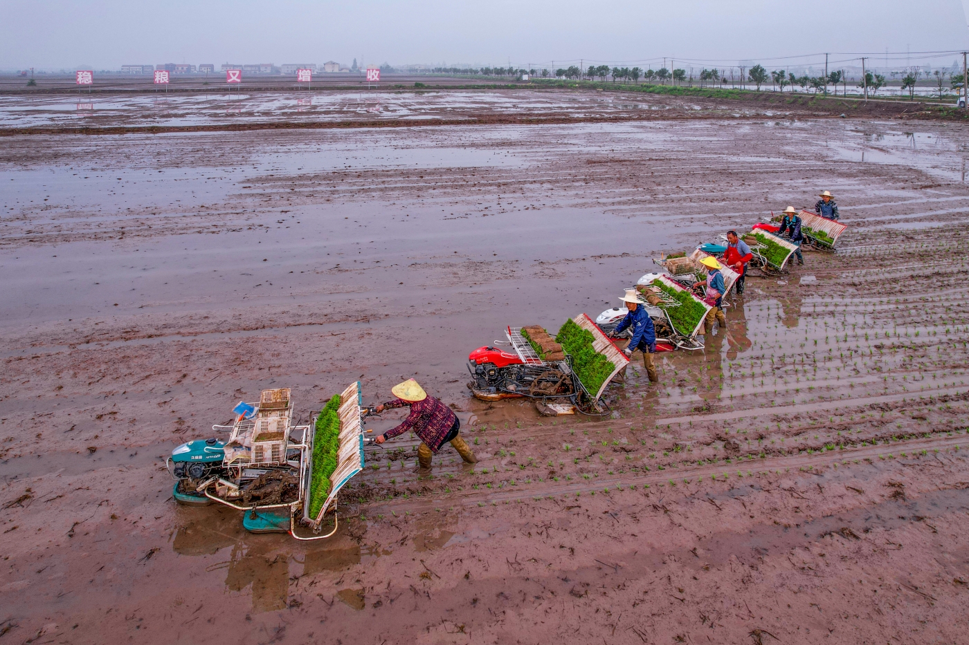 陳新強(qiáng)《春耕》