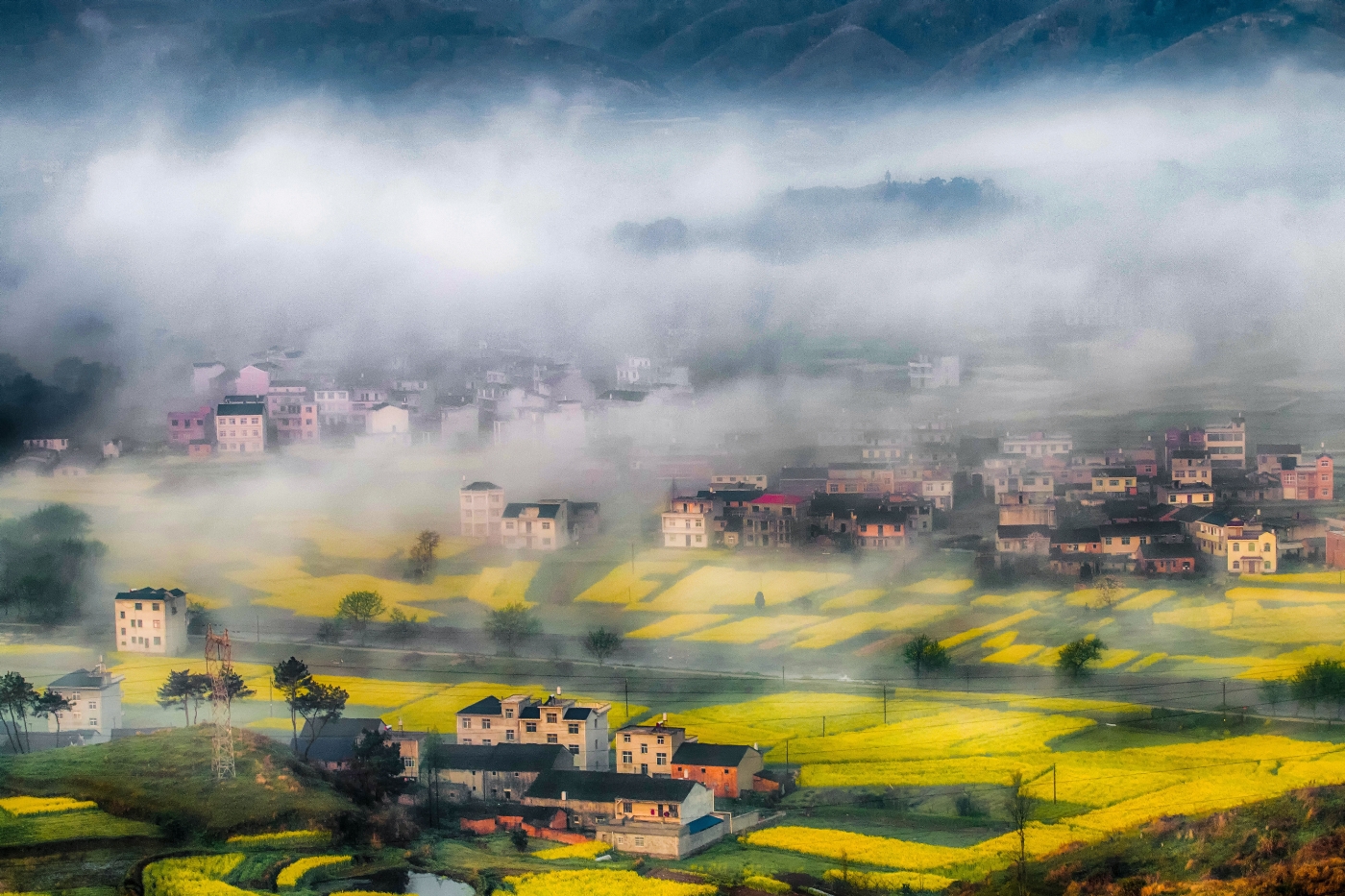 宮少華《夢(mèng)幻家園》