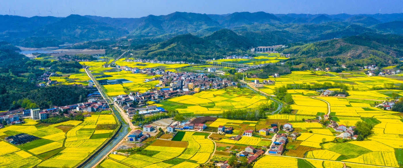 郝歡喜《花海沃野凝匠力?荊楚鄉(xiāng)村立潮頭》