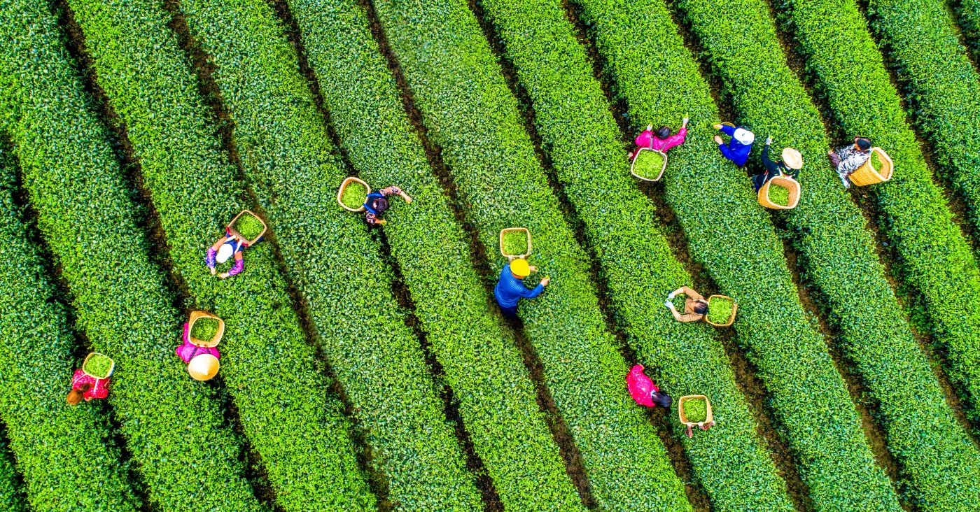 黃波《指尖上的春天》