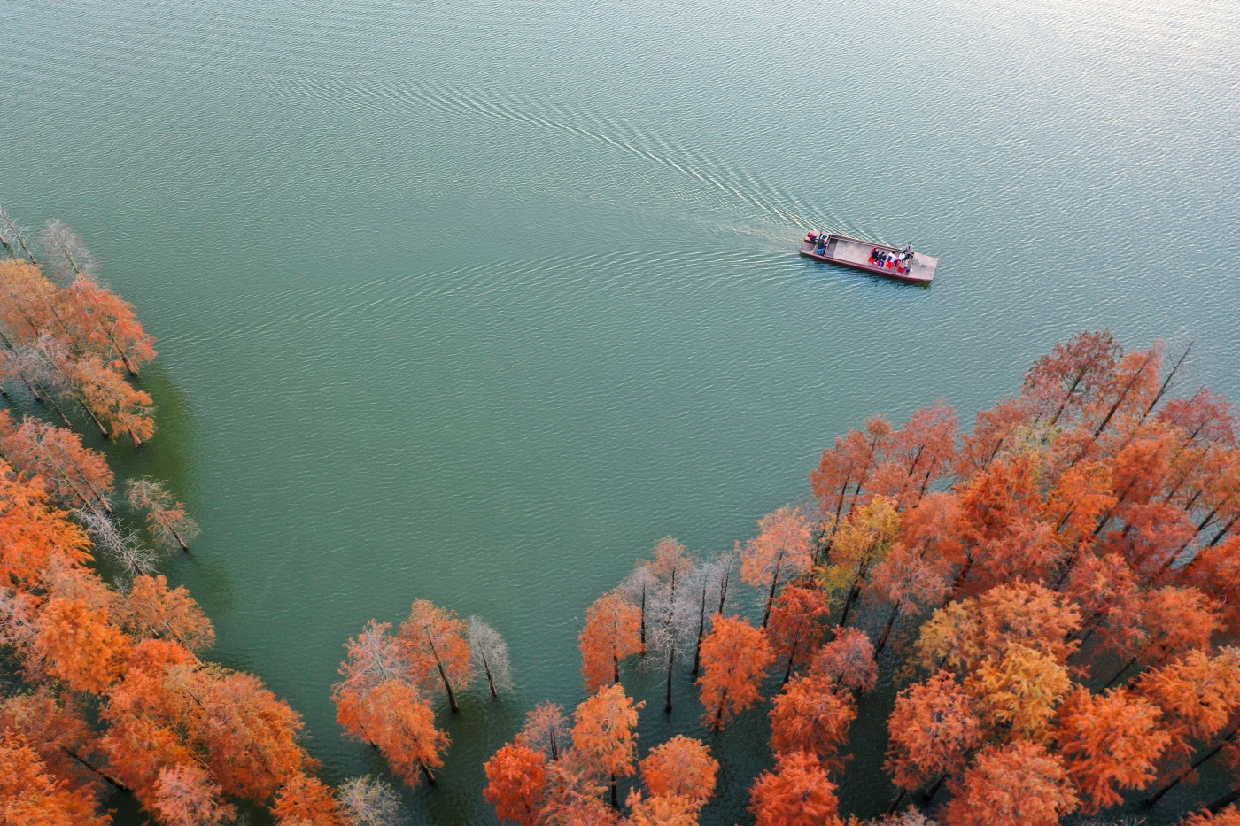 黎志華《賞秋》