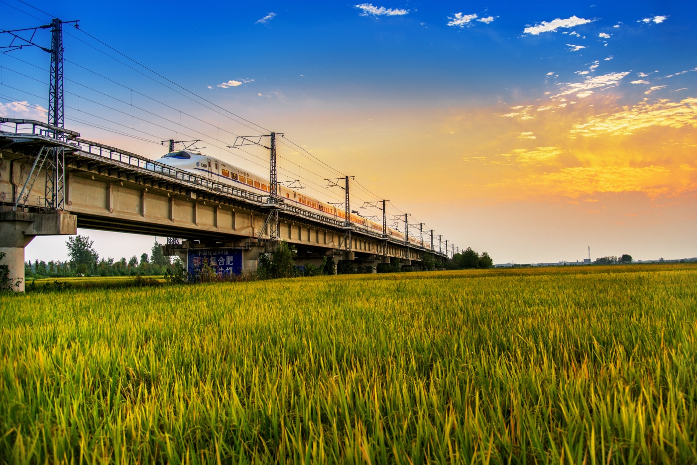 李建鵬《奔馳在原野上》