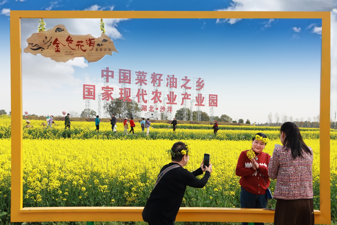 劉雨晴《打卡金色花海大地 “織” 夢(mèng)機(jī)》