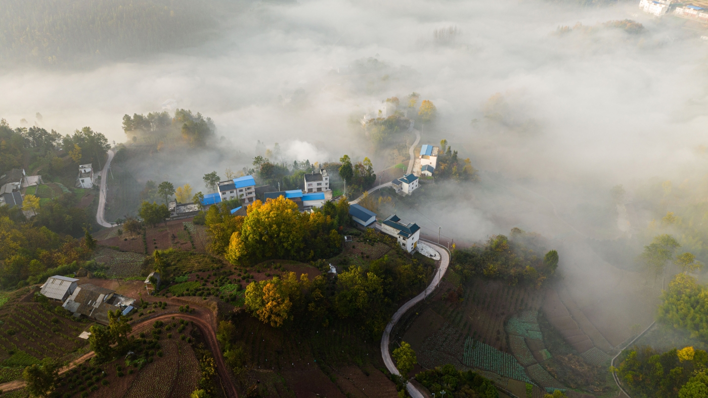 稅典松《美麗鄉(xiāng)村似仙景》