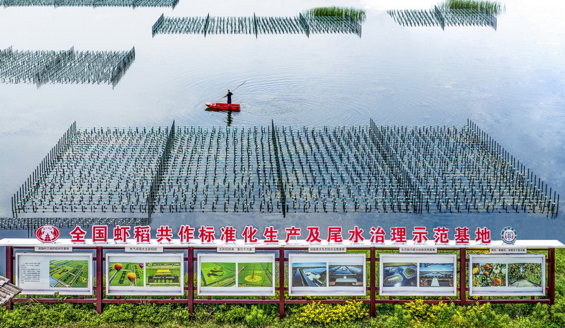 楊華仁《全國(guó)蝦稻共作標(biāo)準(zhǔn)化生產(chǎn)及尾水治理示范基地》