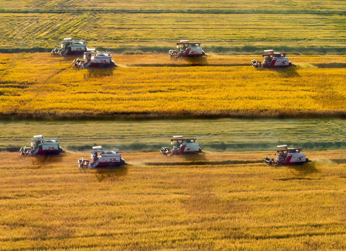 楊杰《聯(lián)合收割》 