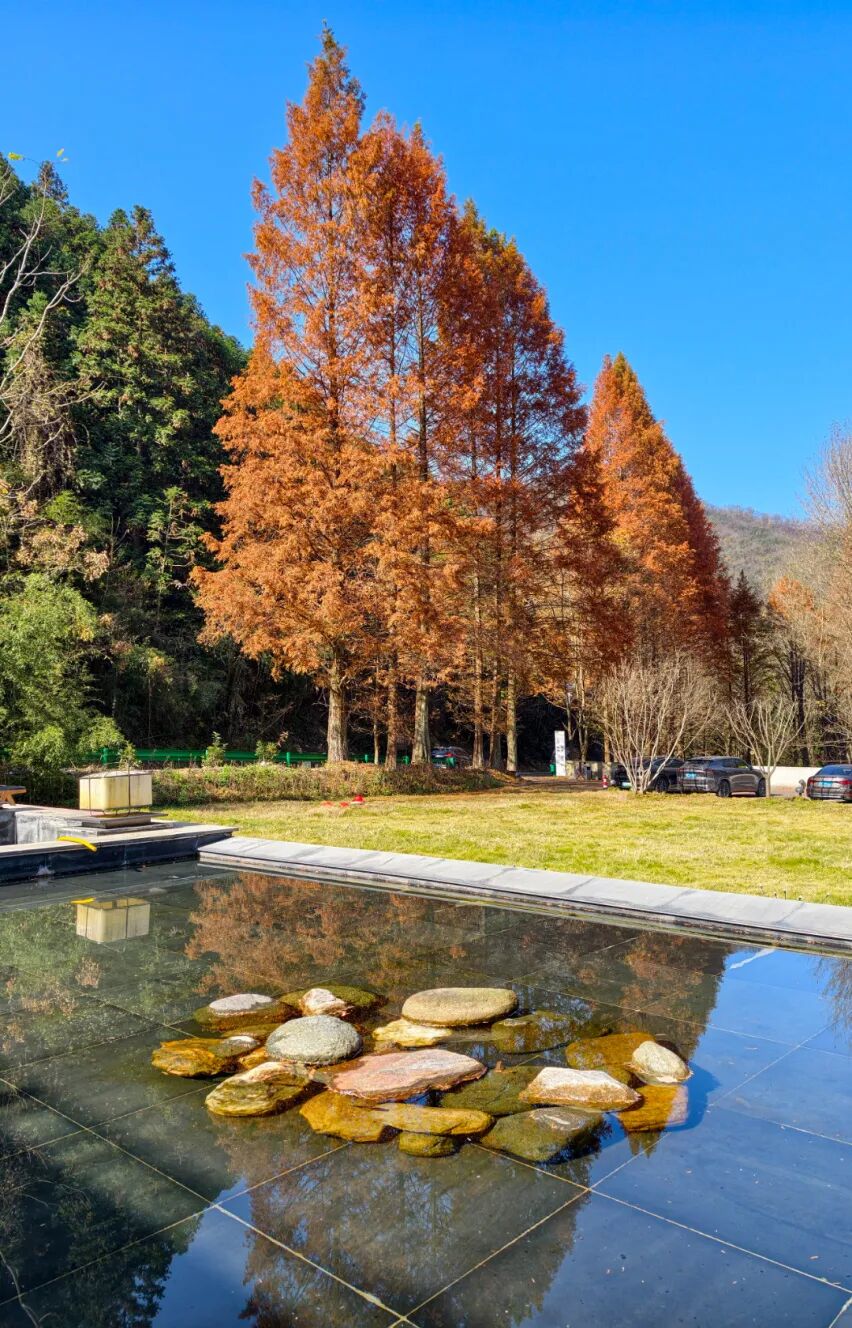 《院落深秋》 張建波 攝.jpg