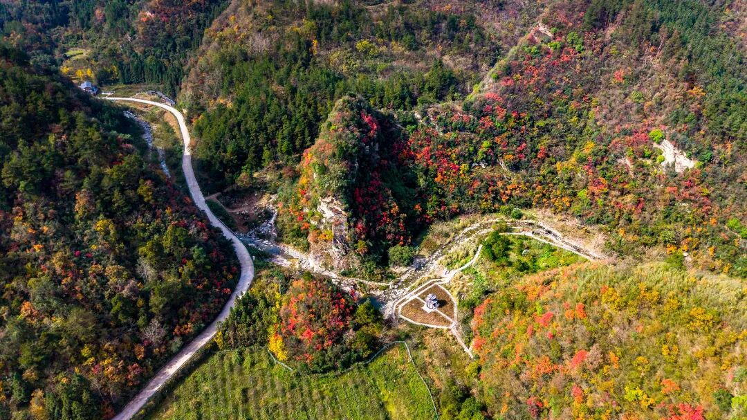 《秋山織錦》 朱萬(wàn)群 攝.jpg