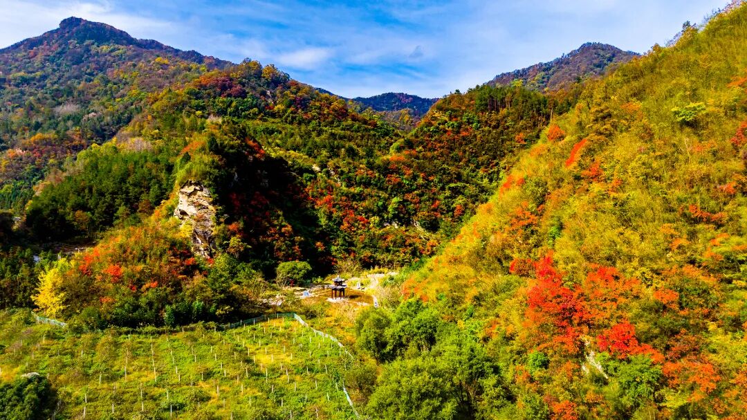 《太白溪秋色》 朱萬(wàn)群 攝.jpg