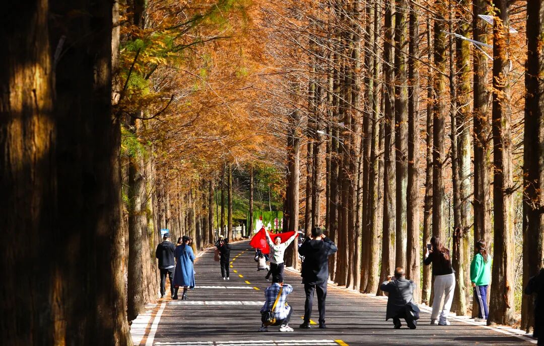 《秋道歡歌》 芮智敏 攝.jpg