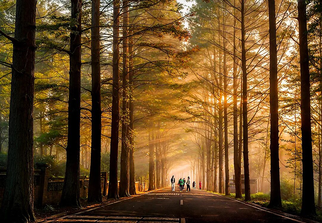 《小川晨曦》 魏建明 攝.jpg